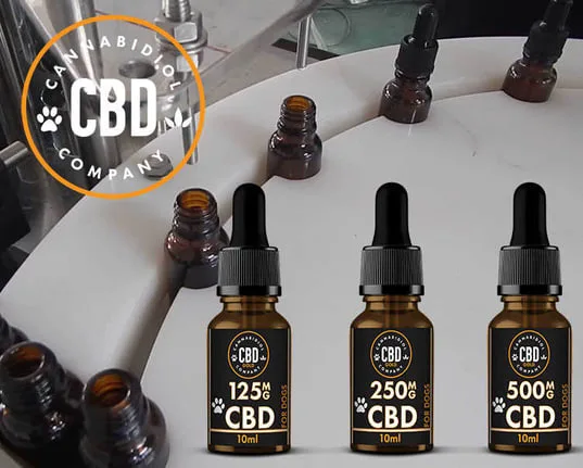Productiebeeld van Cannabidiol Company met CBD-flesjes bij de afvullijn
